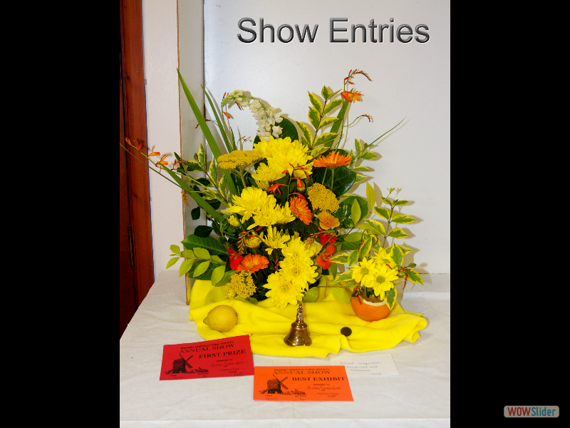 01 Show15_entries 01